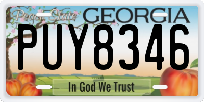 GA license plate PUY8346