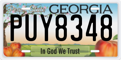 GA license plate PUY8348