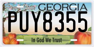 GA license plate PUY8355