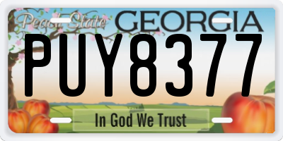 GA license plate PUY8377