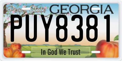 GA license plate PUY8381