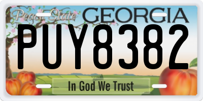 GA license plate PUY8382