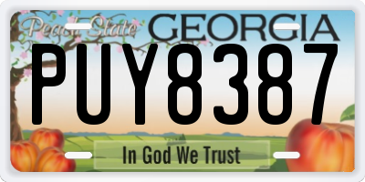 GA license plate PUY8387