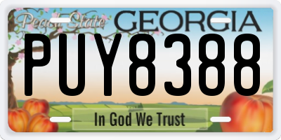 GA license plate PUY8388