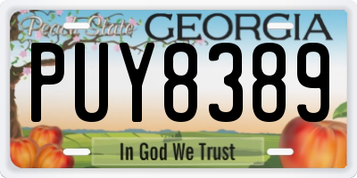 GA license plate PUY8389