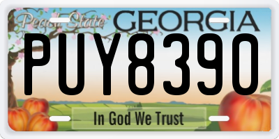 GA license plate PUY8390