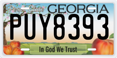 GA license plate PUY8393