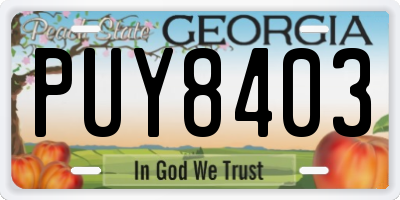 GA license plate PUY8403
