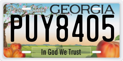 GA license plate PUY8405