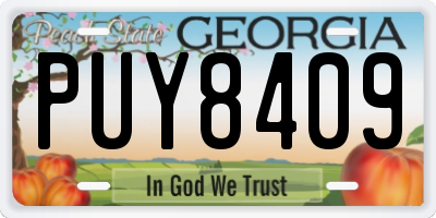 GA license plate PUY8409
