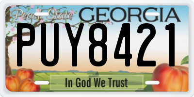GA license plate PUY8421