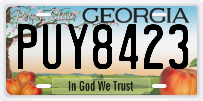GA license plate PUY8423