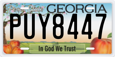 GA license plate PUY8447