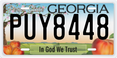 GA license plate PUY8448