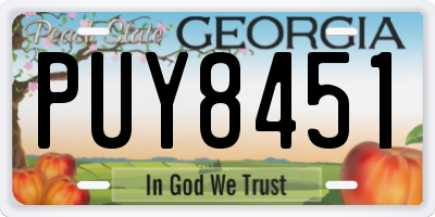 GA license plate PUY8451
