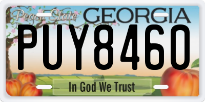 GA license plate PUY8460