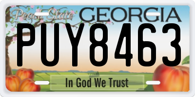 GA license plate PUY8463