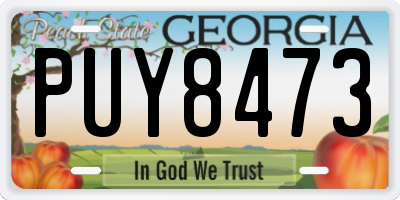 GA license plate PUY8473