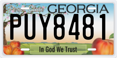 GA license plate PUY8481