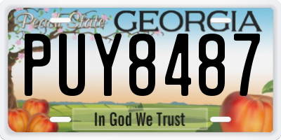 GA license plate PUY8487