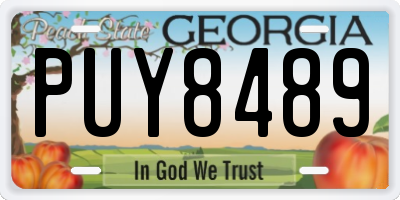 GA license plate PUY8489