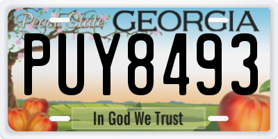 GA license plate PUY8493