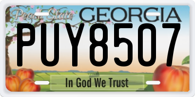 GA license plate PUY8507
