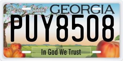 GA license plate PUY8508