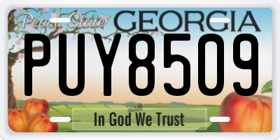GA license plate PUY8509