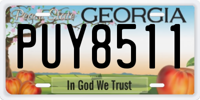 GA license plate PUY8511