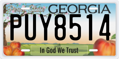 GA license plate PUY8514