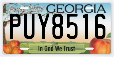 GA license plate PUY8516