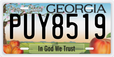 GA license plate PUY8519