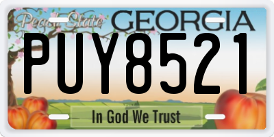 GA license plate PUY8521