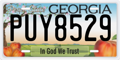 GA license plate PUY8529
