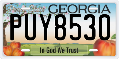 GA license plate PUY8530