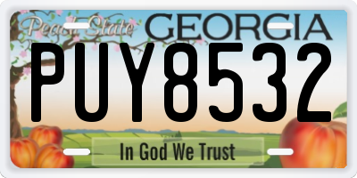 GA license plate PUY8532