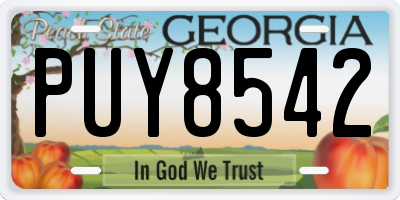 GA license plate PUY8542