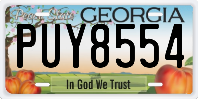 GA license plate PUY8554