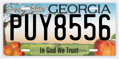 GA license plate PUY8556