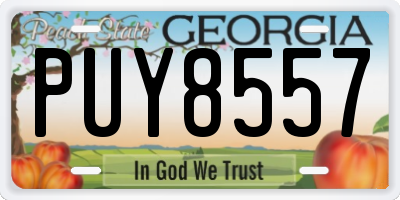 GA license plate PUY8557