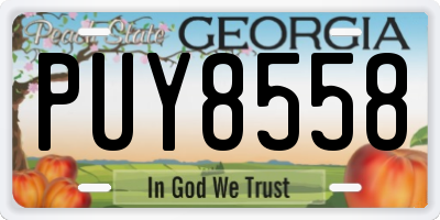 GA license plate PUY8558