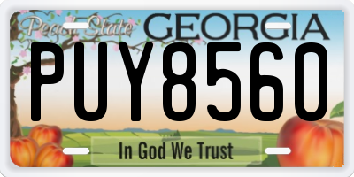 GA license plate PUY8560