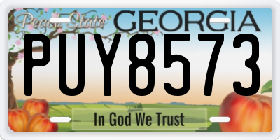 GA license plate PUY8573