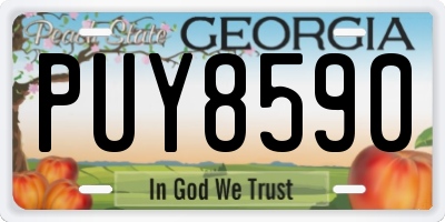 GA license plate PUY8590