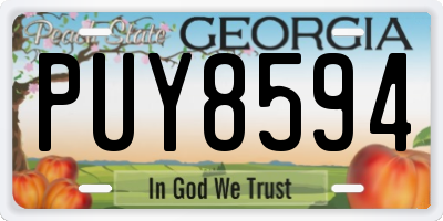 GA license plate PUY8594
