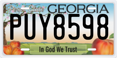 GA license plate PUY8598