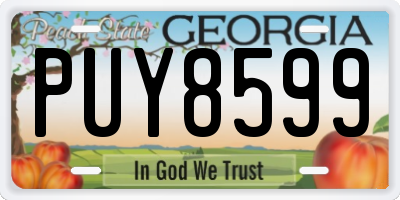 GA license plate PUY8599
