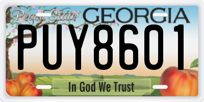 GA license plate PUY8601