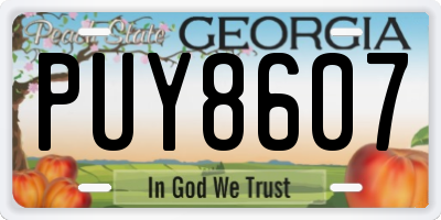 GA license plate PUY8607